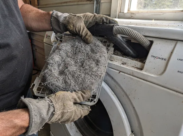 Cleaning Dryer Lint Trap in Bellingham